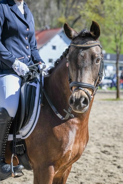 格林的出色 格林的出色