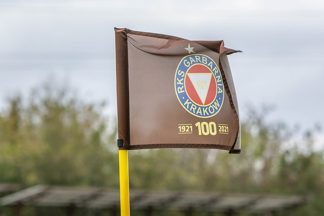 岁的锋线小 岁的锋线小