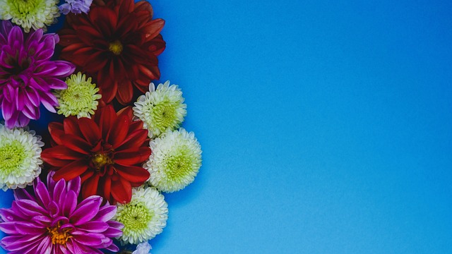 新星的成长 新星的成长